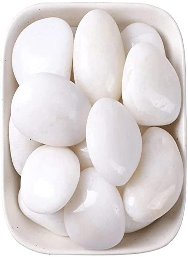 BUM BUM BHOLE Natural Polished White Pebbles -2.5Kg Pebbles for Plants, Aquariums, Vase Fillers and Fairy Garden,Terrarium,Succulents & Multi Purpose Pack (2.5 Kg, 30-50 mm, White Polished) - Image 1
